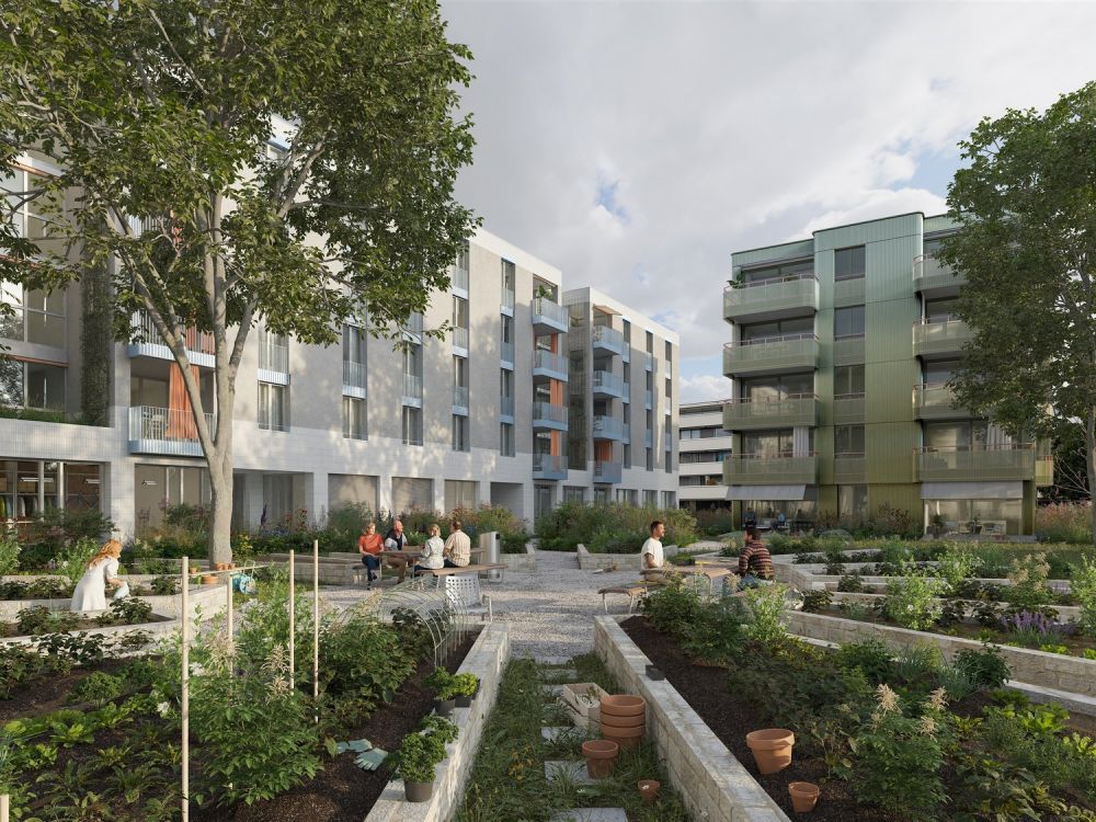 Neubau Moderne 3.5-Zimmer-Wohnung in Derendingen - Bild 1