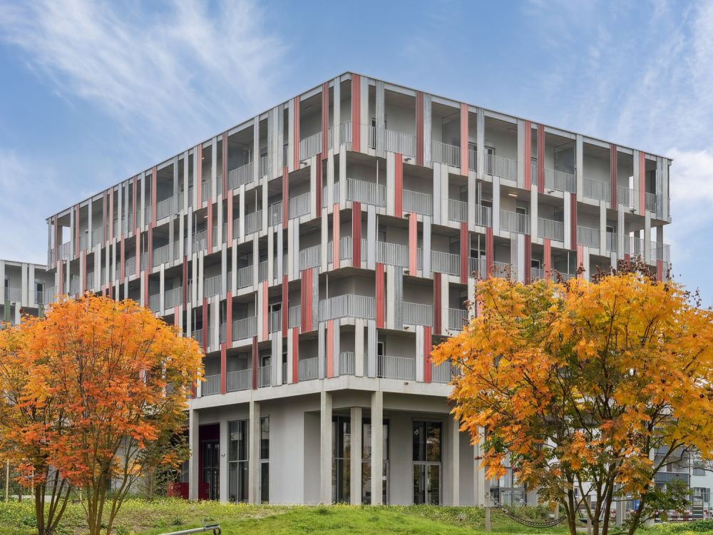 Design-Apartments im Lisbon-Style – Direkt am Bahnhof Muttenz - Bild 10