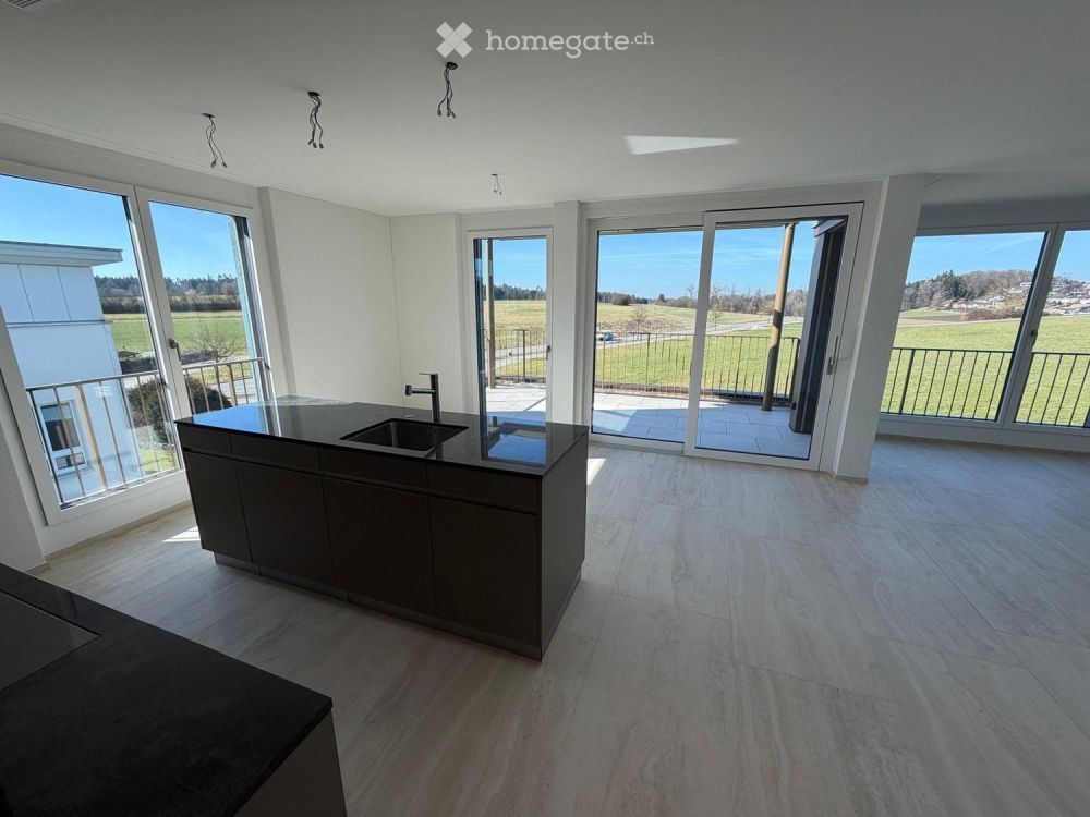 Neue 3.5-Zimmer-Wohnung mit Landschaftsblick in Illnau-Effretikon im Eigentum Ausbau. - Bild 1