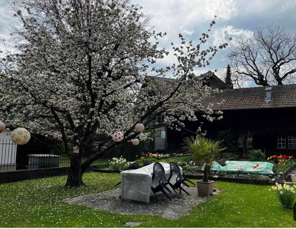 4.5 Galerie-Wohnung im Herzen Langnau - Bild 1