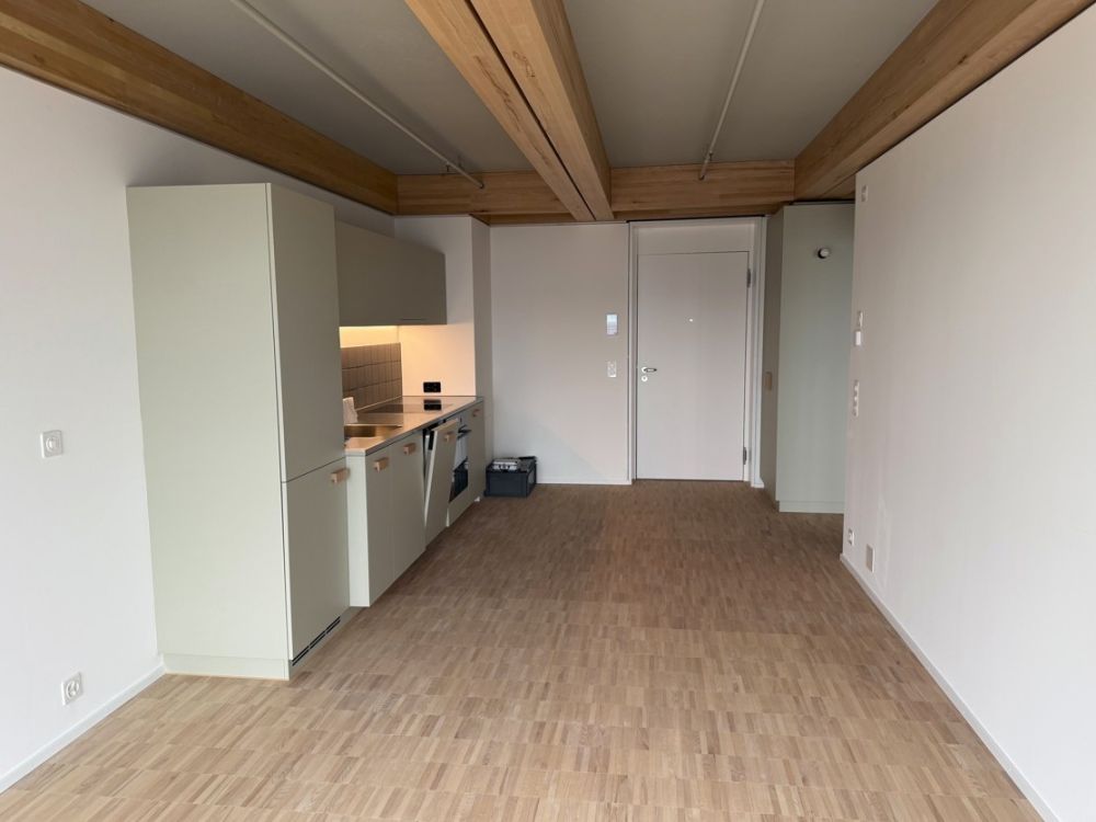 2 1/2 Z Wohnung im Holzhochhaus Regensdorf - Bild 7