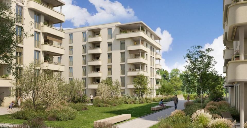 Prairie 4 - Appartement 5.5 pièces en attique - Attique 5.5 pièces - image - 11