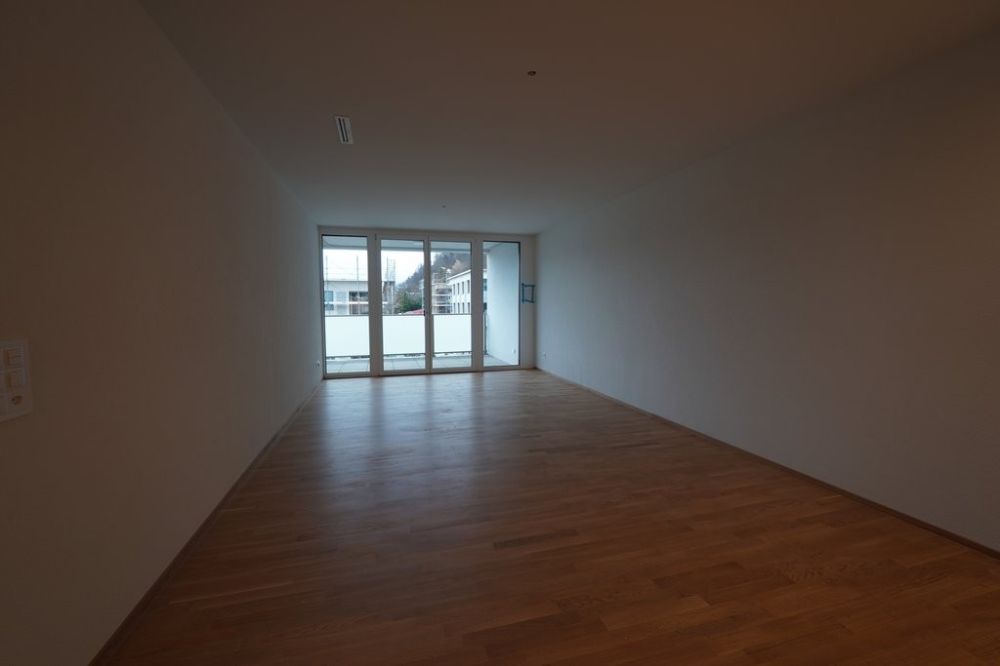 ERSTVERMIETUNG IN LIESTAL - jede Wohnung mit eigenem Waschturm - DSC01586.JPG