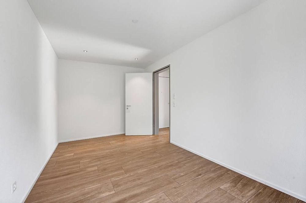 2.5 Zimmer Wohnung / Neubau, Erstvermietung - Bild 5