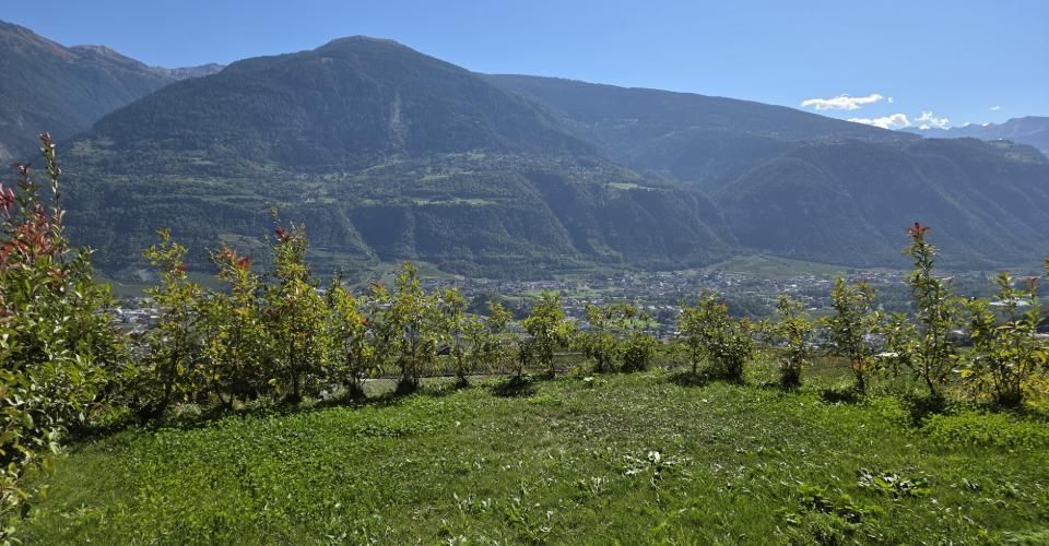 Entre Sierre & Sion - Belle villa récente - Maison jumelée 4.5 pièces - image - 1