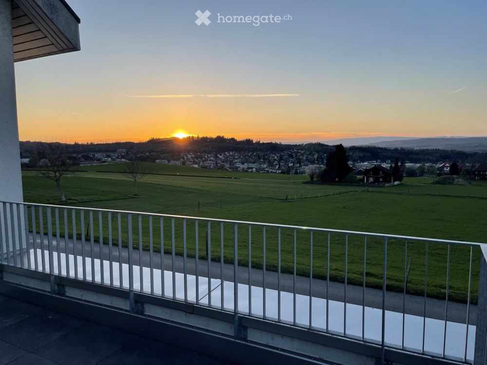 Erstbezug an Toplage mit grosser Dachterrasse mit Weitsicht - Bild 1
