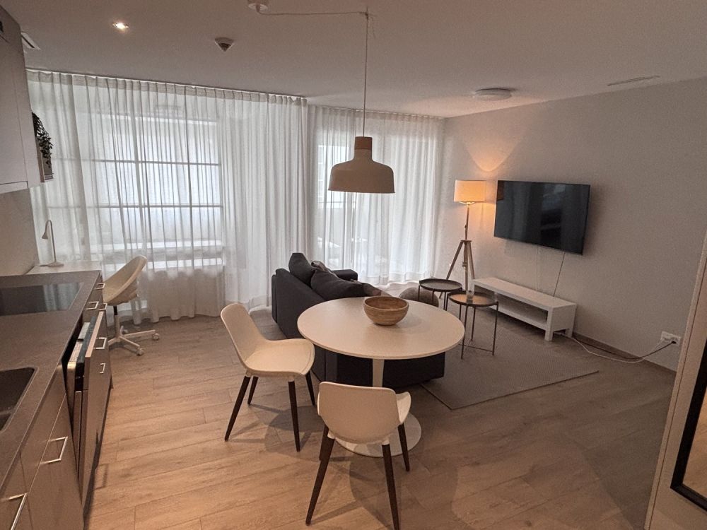 1½ ZI-WOHNUNG IN NEUHAUSEN AM RHEINFALL (SH), MÖBLIERT, TEMPORÄR - Bild 3