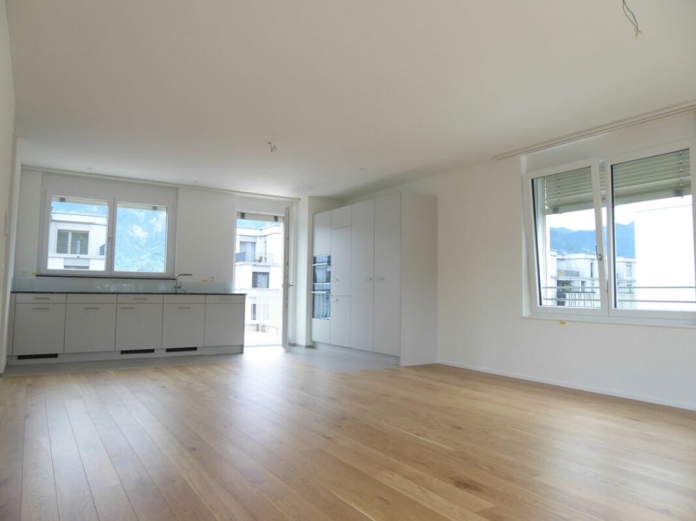 4 1/2-Zimmer-Wohnung - Neubauprojekt "Rheincity" - Bild 1