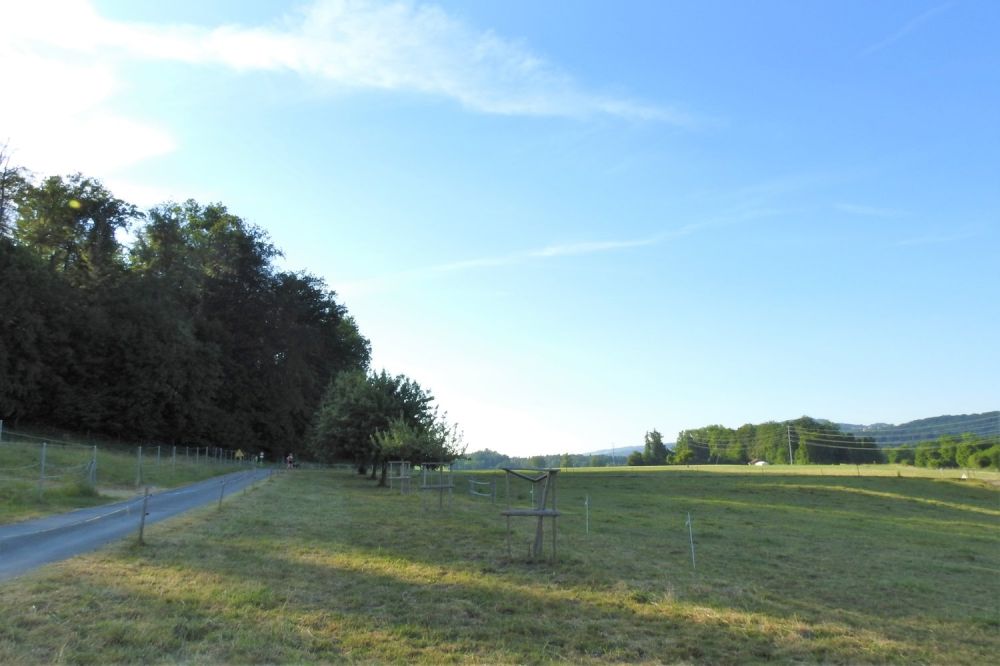 Attraktive Wohnung im Freiämter Naturparadies am Zonenrand (Erstbezug) - Bild 7