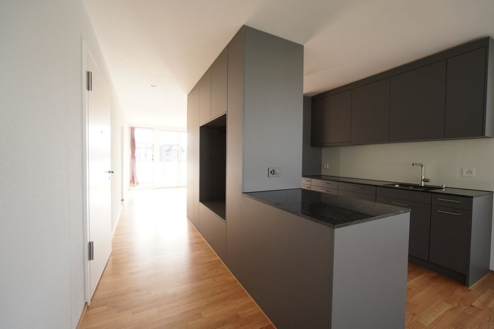 ERSTVERMIETUNG IN LIESTAL - jede Wohnung mit eigenem Waschturm - DSC02845.JPG