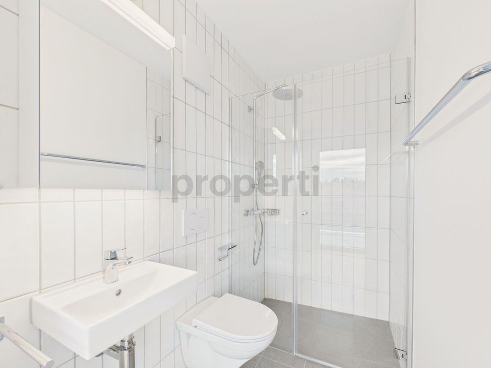 Moderne 3.5-Zimmer-Attikawohnung in Basel - Image 5