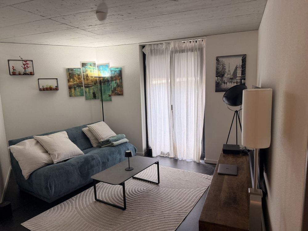 Moderne 2.5 Zimmer Erdgeschoss Wohnung - Bild 2