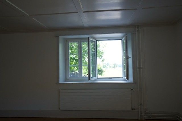 Helles WG-Zimmer im frisch renovierten Bauernhaus in Schwerzenbach "Villa Kunterbunt 2.0" - Bild 13