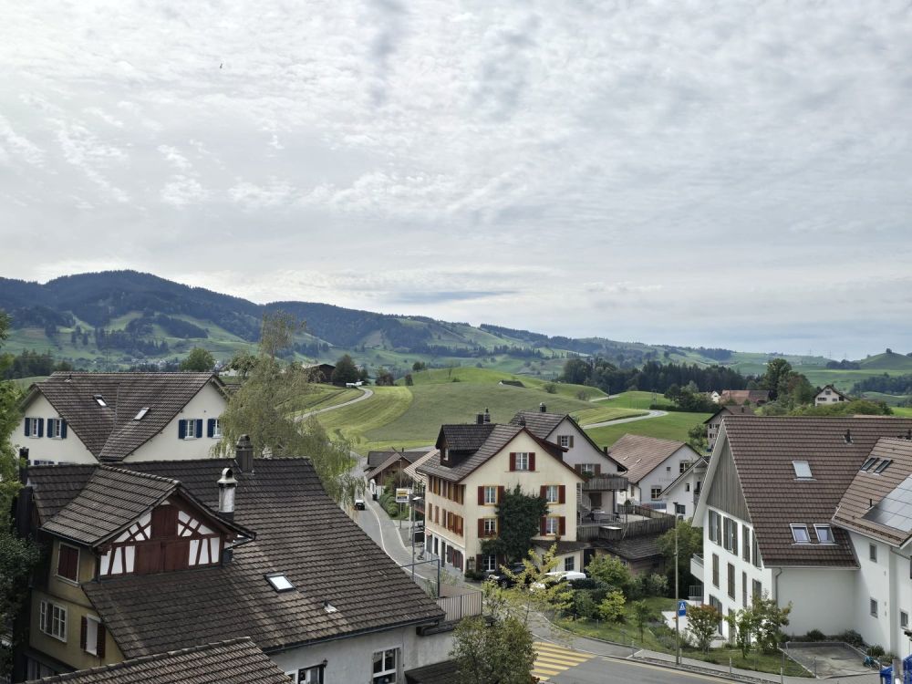 Modernes Wohnen in ruhiger und naturnaher Lage - Bild 5