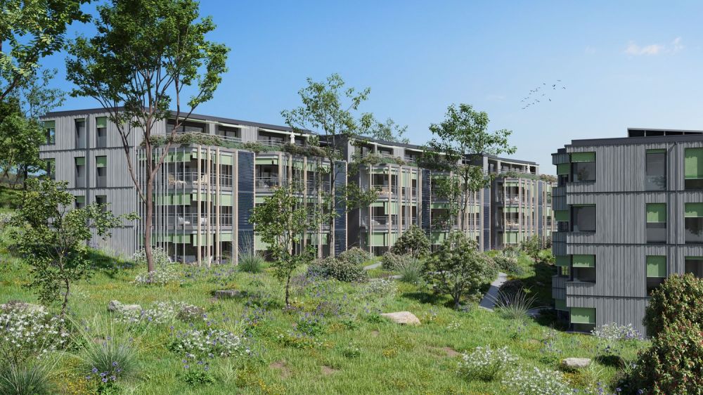 Erstbezug 2027 – Hochwertige 4.5-Zimmer-Wohnung mit Terrasse & Tiefgarage - Bild 5