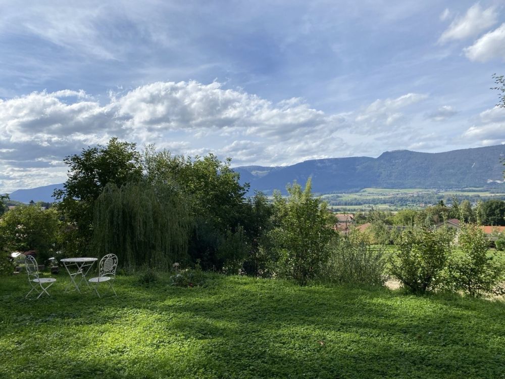 Ruhige 4-Zimmer-Wohnung am Waldrand mit grossem Garten - Bild 4
