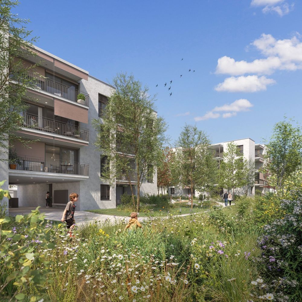 Moderne 3.5-Zimmer-Neubauwohnung in Rüfenacht BE – Erstbezug März 2027 - Bild 1