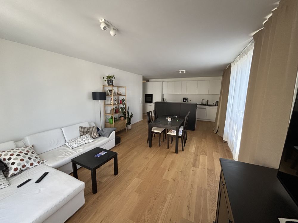 Room in Riehen (Basel) — new-build, perfect for weekday commuter / expat - Bild 2