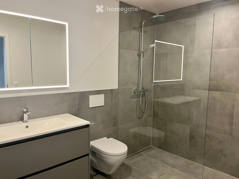 Moderne Neubau-Wohnungen mit Terrassen in umgebauten Bauernhaus - Bild 3