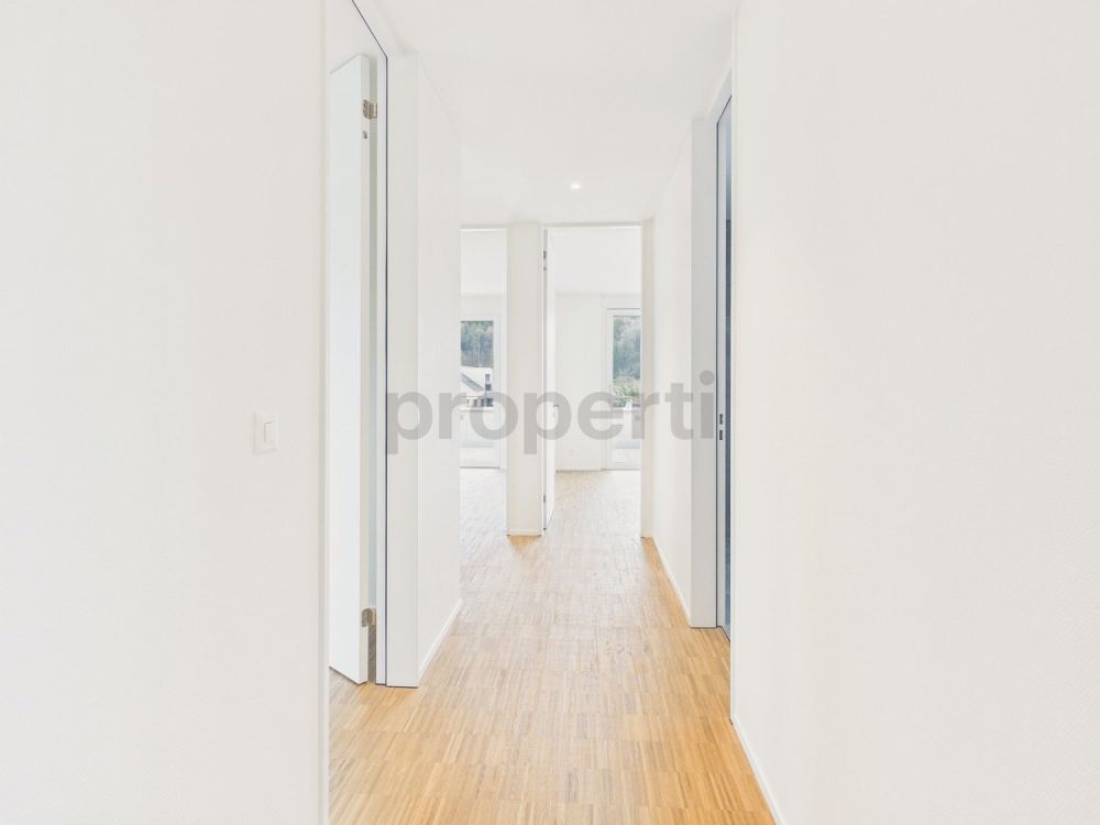 Moderne 4.5-Zimmer-Attikawohnung mit Balkon, Brunnen - Image 6