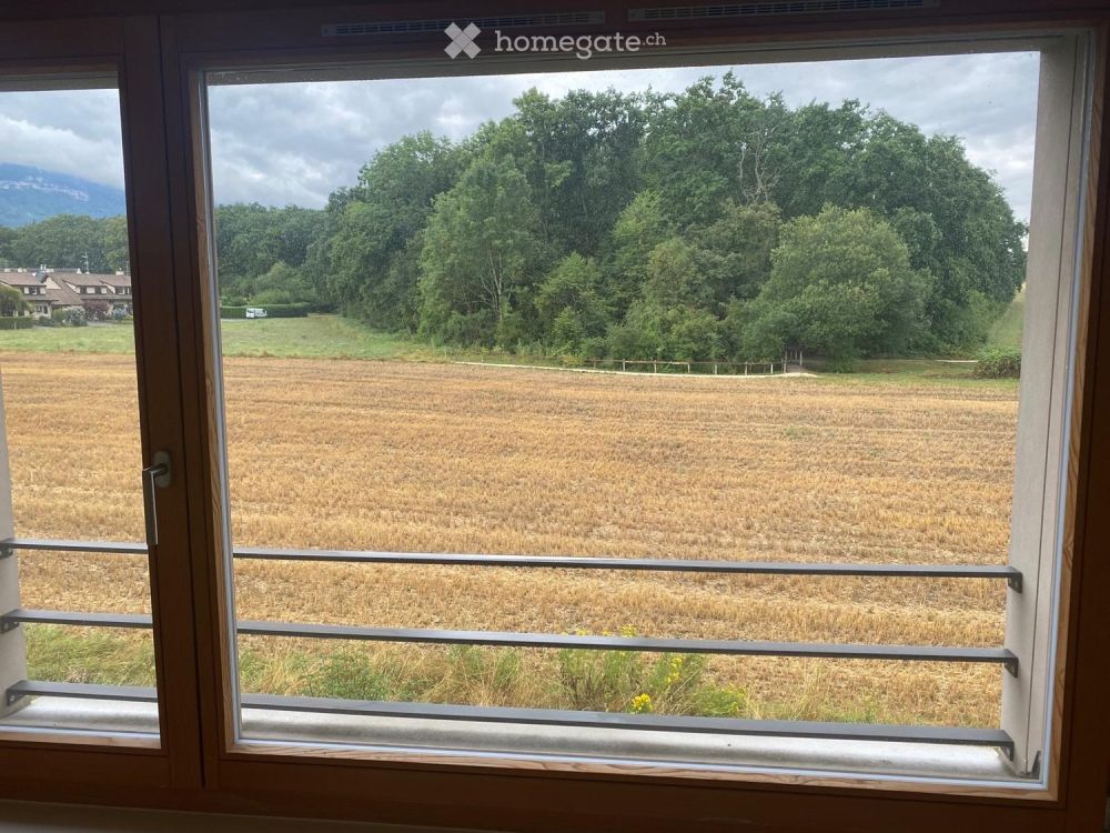 Maison contiguë à Plan-les-Ouates - Bild 3