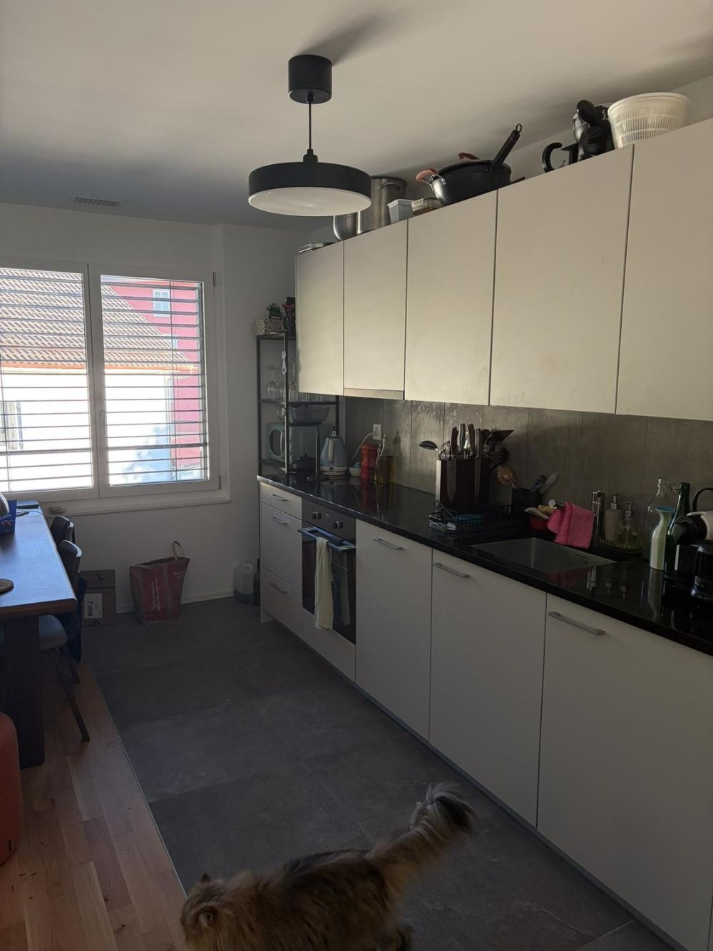 3.5 pièces moderne et lumineux en bordure de forêt de Sauvabelin - Bild 3