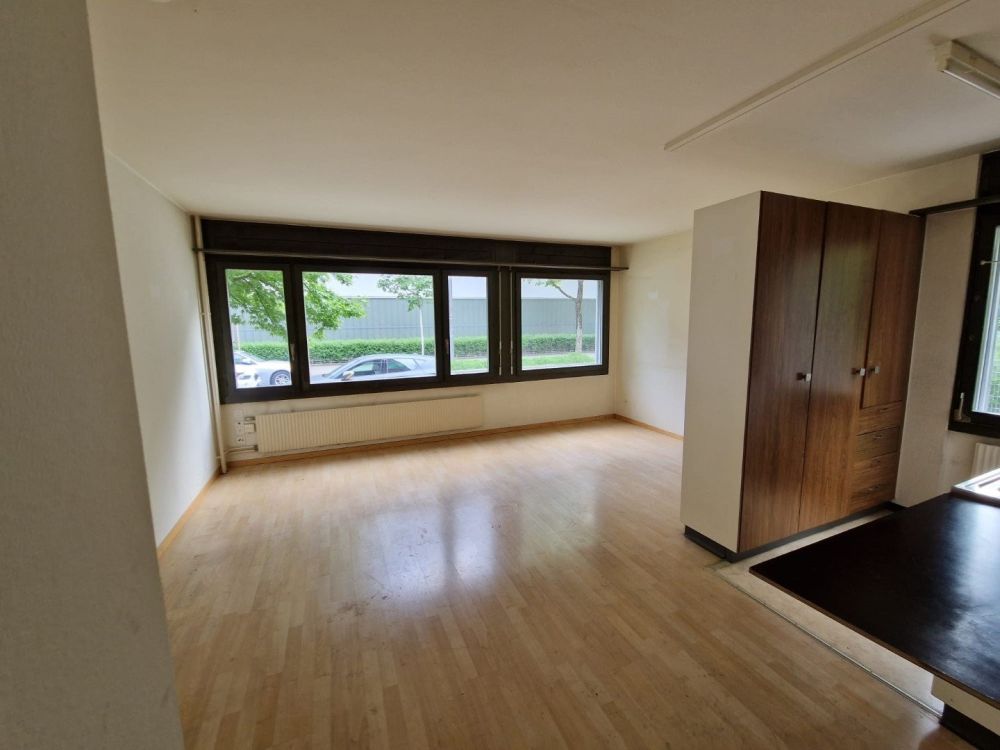2-Zimmerwohnung im Länggass-Quartier - Wohnzimmer