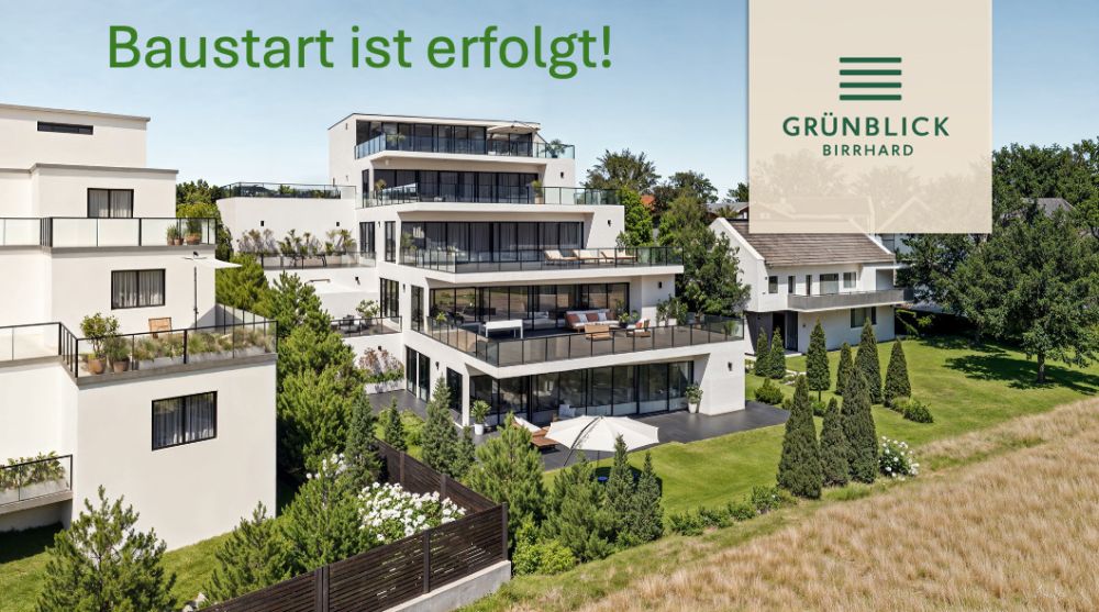 Helle 4.5-Zimmer Terrassenwohnung mit Weitblick in Birrhard AG - Bild 2