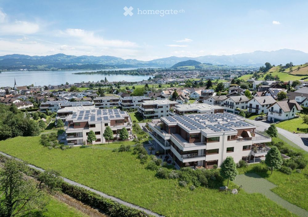 Erstvermietung: Grosse 2.5-Zimmer-Neubauwohnung im Grünen - Bild 10