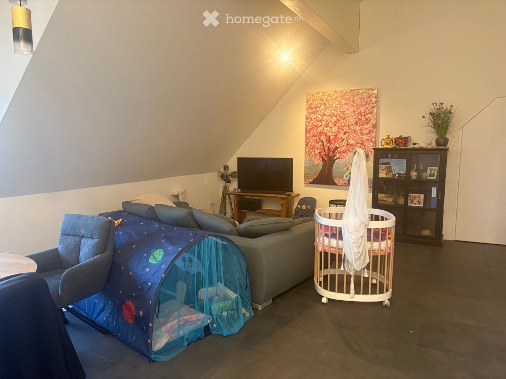 Moderne 5.5-Zimmer-Dachwohnung in Rottenschwil - Neubau 2025 - Bild 4