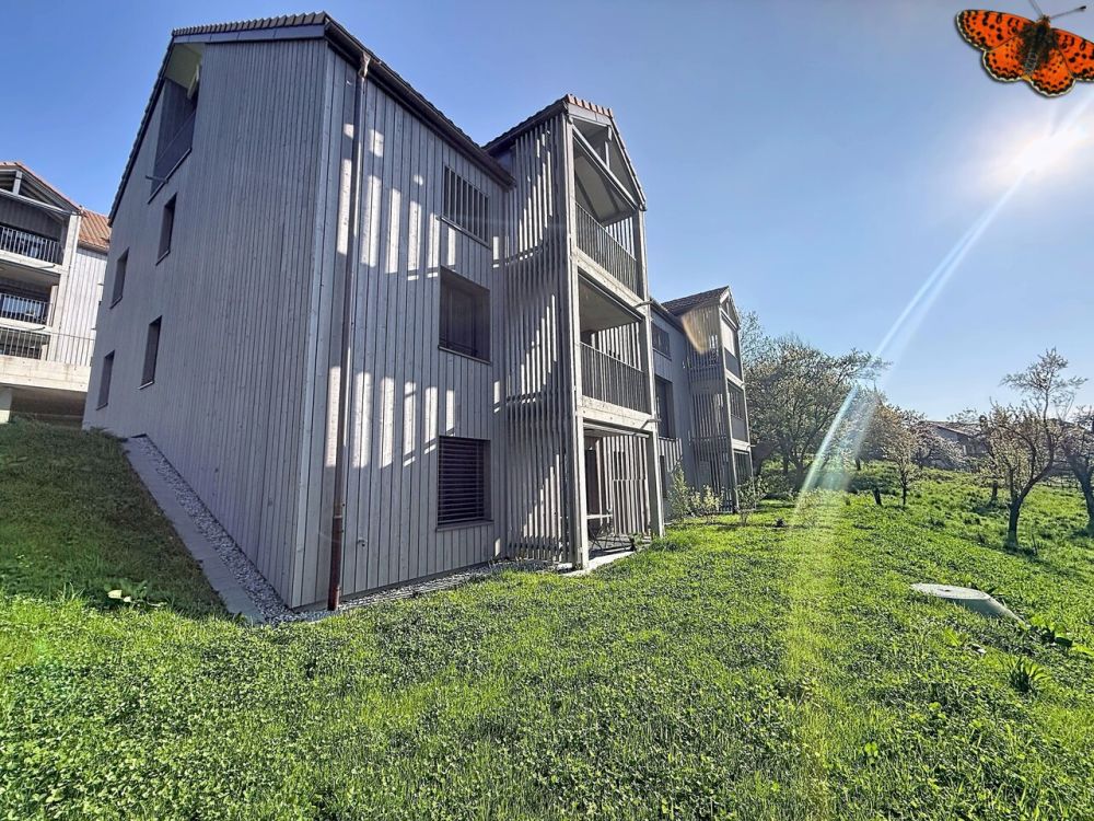 2½ ETW. DUPLEX - Neu und ruhig - Immeuble