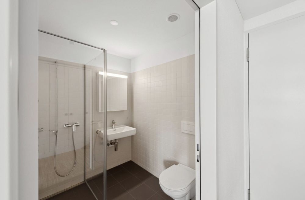 Wohnung 1.5 Zimmer in Erlenbach - Bild 4