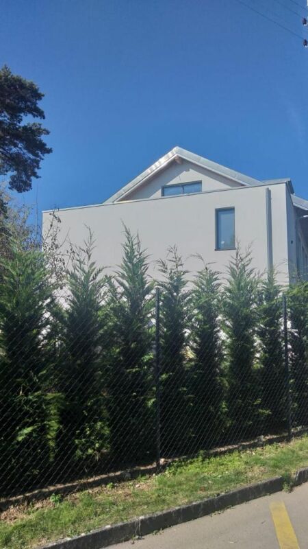 Villa individuelle 11 pièces à Tannay - Bild 7