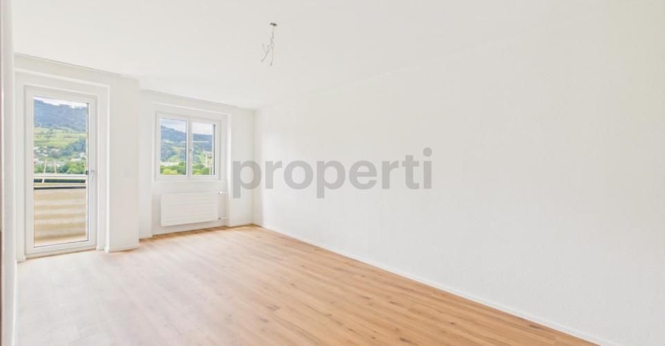 Hochwertig sanierte 3.5-Zimmer-Wohnung im Erstbezug - Appartement 3.5 pièces - image - 7