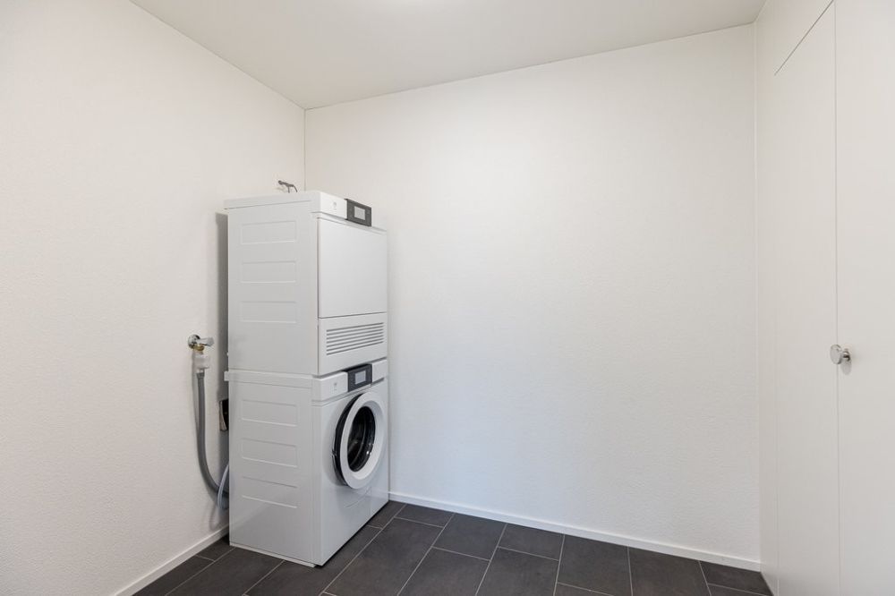 Moderne Wohnung mit grosser Terrasse - Reduit_mit_Waschturm.jpg