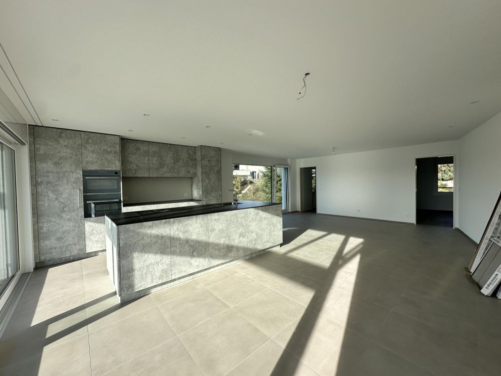 Exklusive Attika-Wohnung mit grosszügiger Terrasse - Bild 3