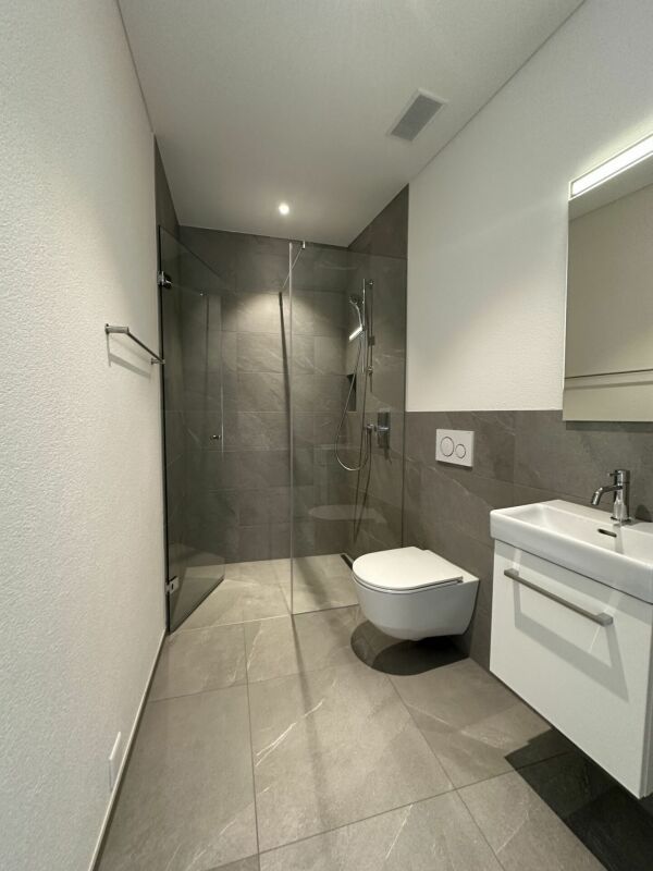 attraktive 4.5 Zimmer-Attikawohnung mit herrlichem Ausblick - Bild 7