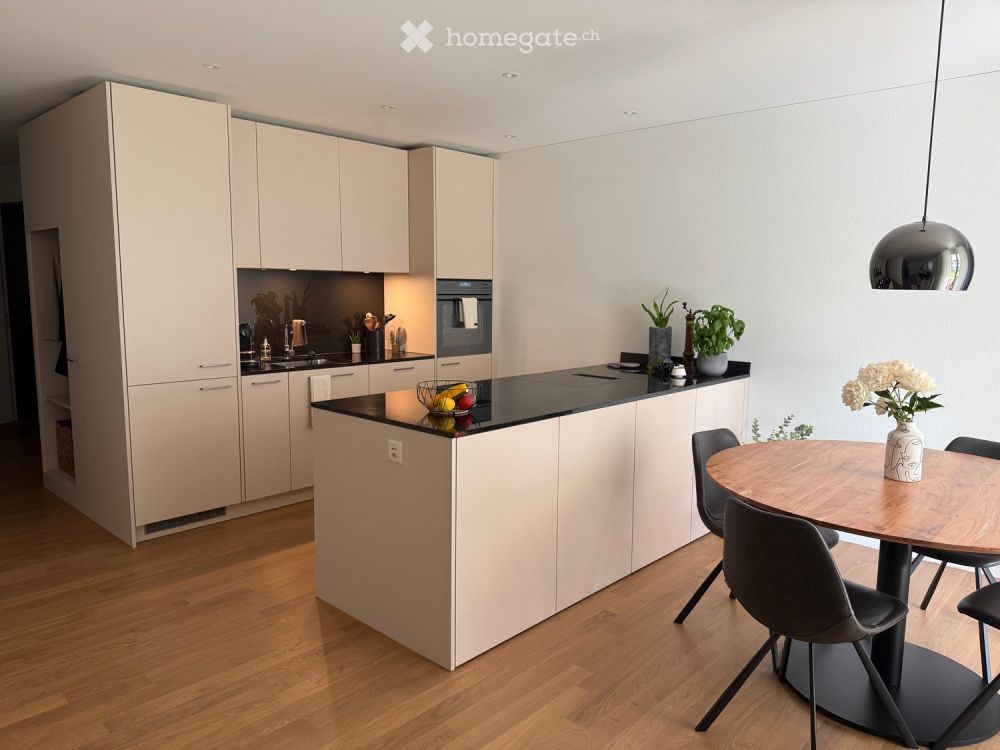 Moderne 4.5-Zimmer-Neubauwohnung im Erdgeschoss in Othmarsingen - Bild 1