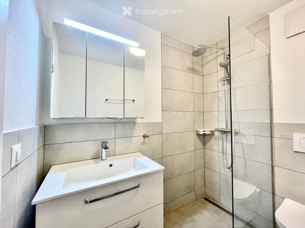 Moderne 1.5-Zimmer-Wohnung in ruhiger Lage in Oberkulm - Bild 2