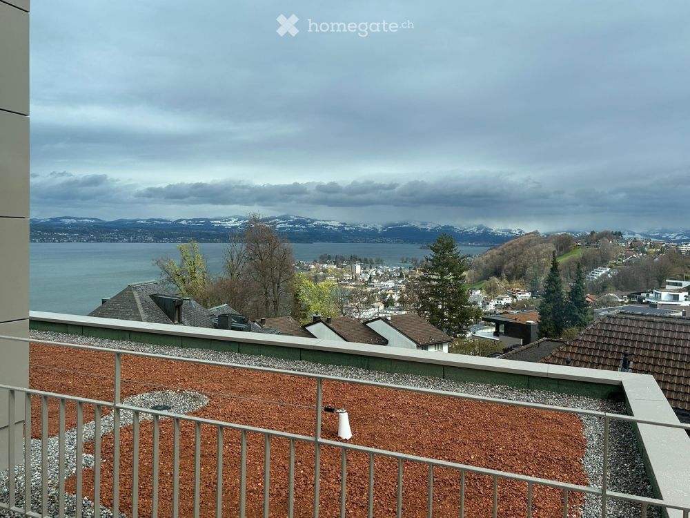 Moderne 2.5-Zimmer-Neubau-Wohnung mit Seeblick in Wollerau - Bild 1