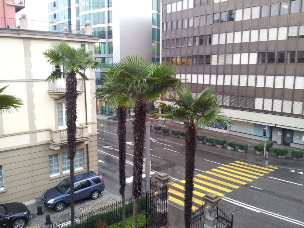 Appartamento nuovo in viale Giuseppe Cattori 10, Lugano - Bild 7