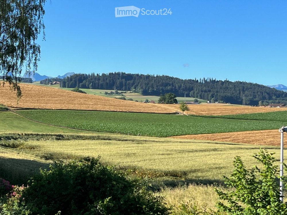 Traumwohnung in Köniz bei Bern – Natur und Stadt im perfekten Einklang / Erstbezug - Bild 13