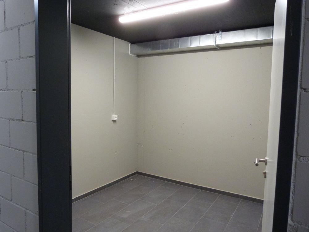 Erstvermietung 2.5 Zimmer Wohnung in Fehraltorf - Bild 7