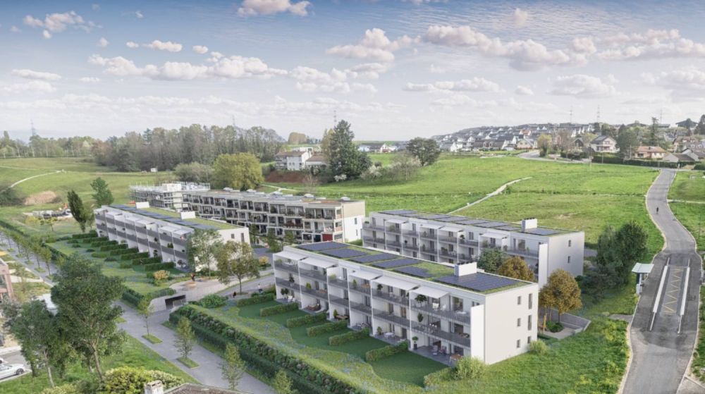 Dernier appartement neuf de 3.5 pièces avec spacieux balcon - Bild 4