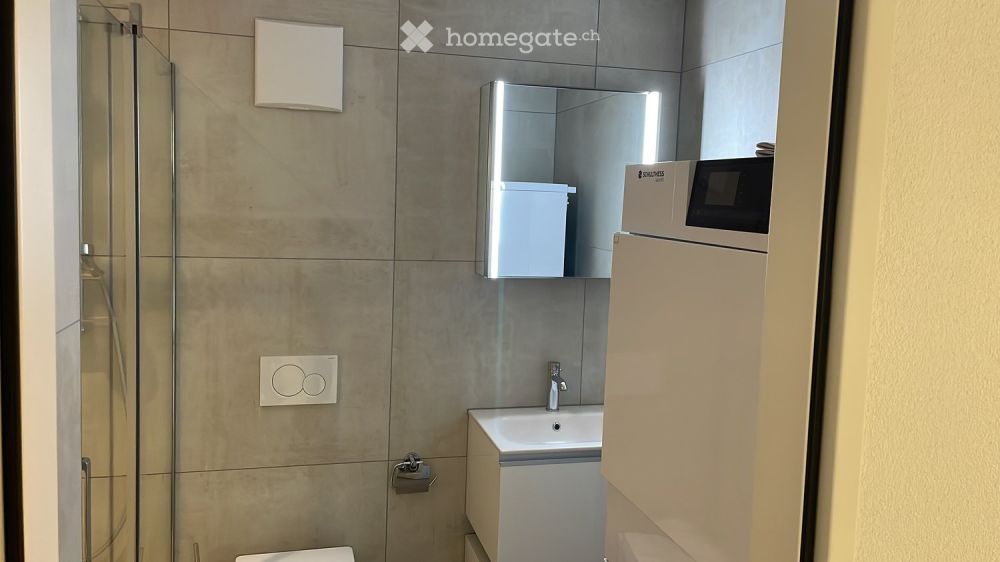Moderne 2.5-Zimmer-Neubauwohnung im Erdgeschoss in Bubendorf - Bild 1