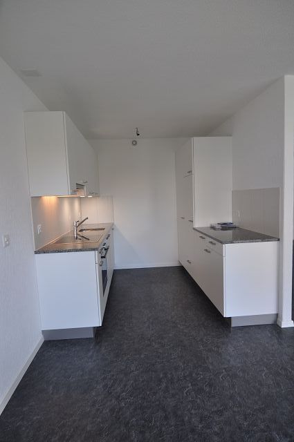 sanierte 4.5 Zimmerwohnung - Moderne Küche