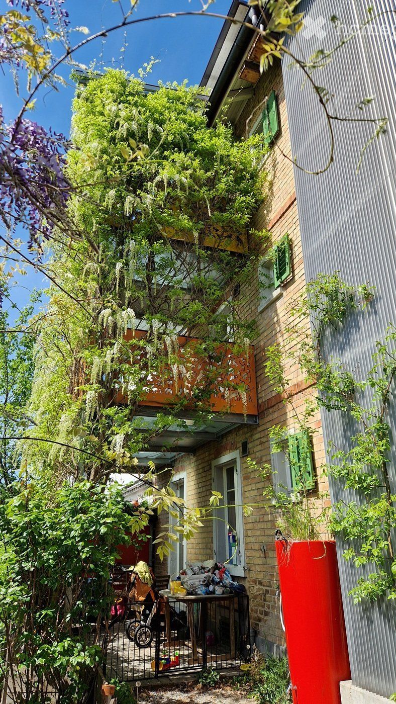 EG-Wohnung ehem. Sulzer-Arbeiterhaus (befristet bis 31.8.27) - Bild 2