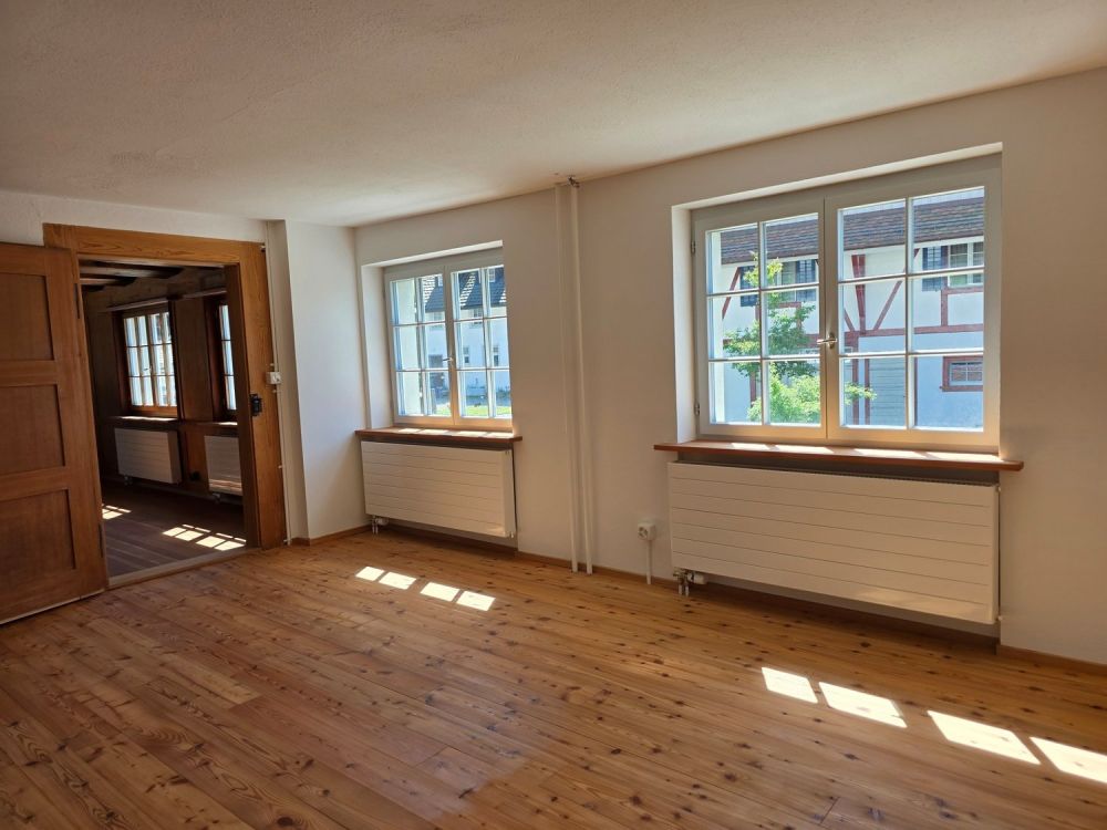 Erstbezug einzigartige 2,5-Zimmer-Wohnung nach Renovierung - Zimmer