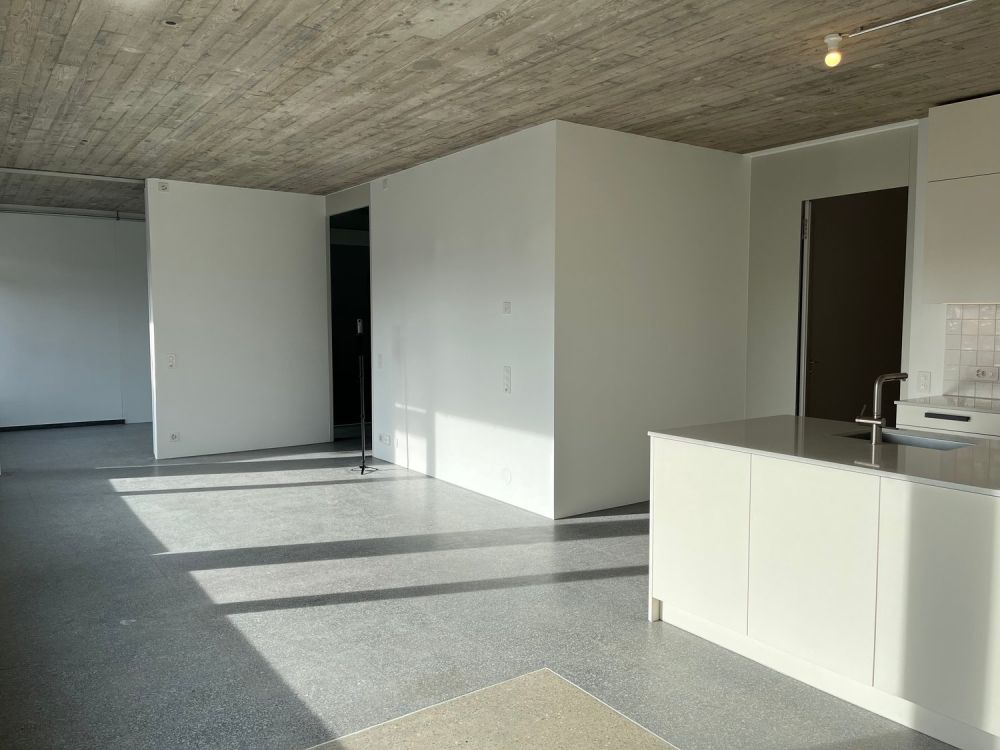 Einzigartige Pavillonwohnung im Domino mit sep. Zugang ¦ Erstvermietung - Bild 7