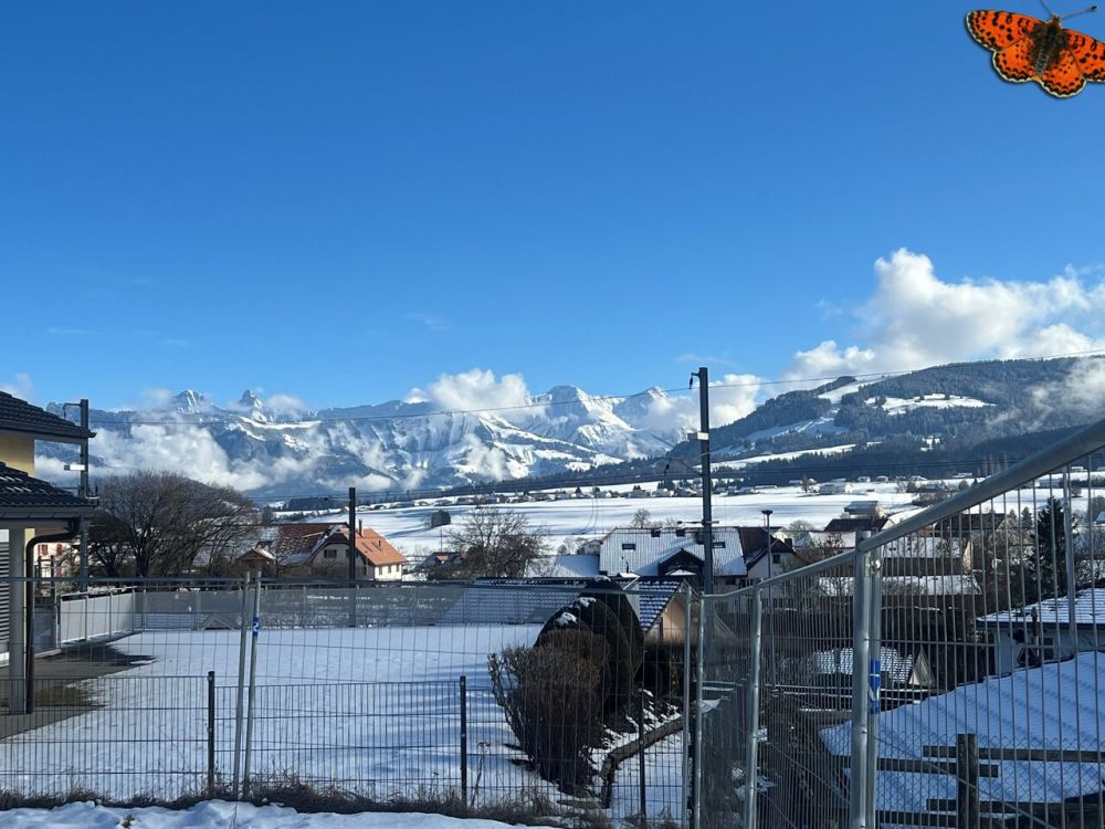 VAURLUZ - PROMOTION APPARTEMENTS NEUFS - 4 ½ PIECES - Vue